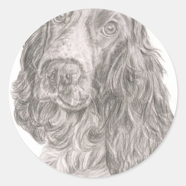 Adesivo Cocker Spaniel (Frente)