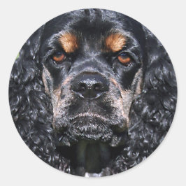 Adesivo Cocker Spaniel