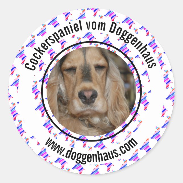 Adesivo Cocker Spaniel Inglês minimalista moderno (Frente)