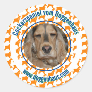 Adesivo Cocker Spaniel Inglês minimalista moderno