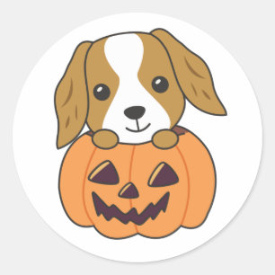 Adesivo Cocker Spaniel Pumpkin Cute Dogs Feliz Halloween C