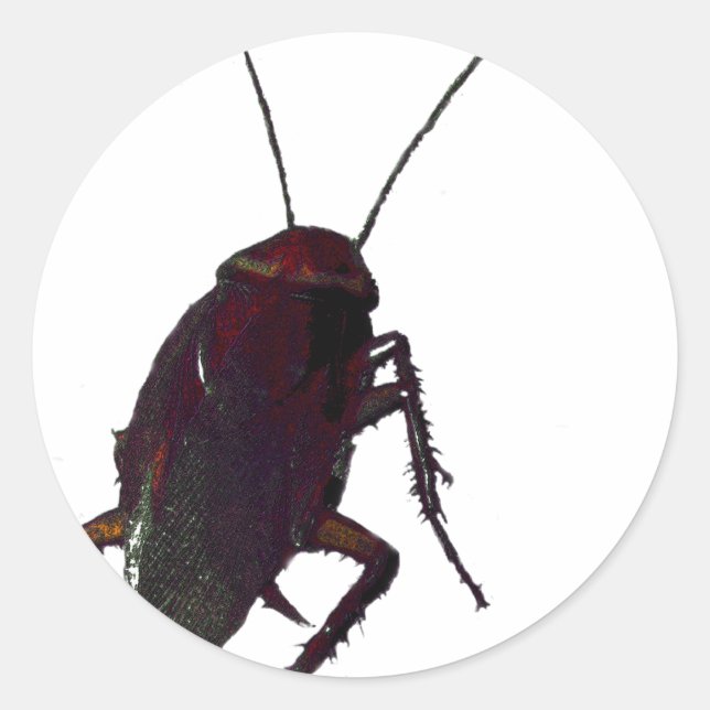 Adesivo Cockroach (Frente)