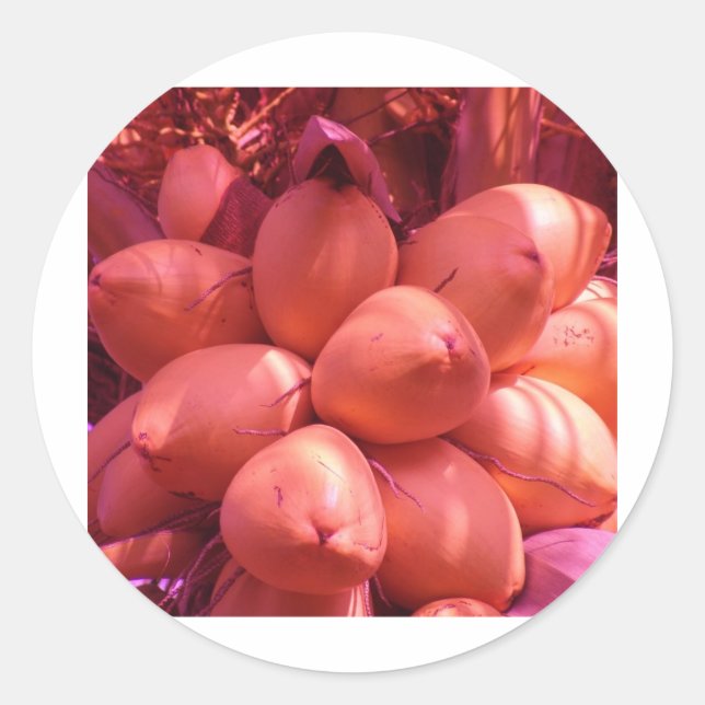 Adesivo cocos em cor (Frente)