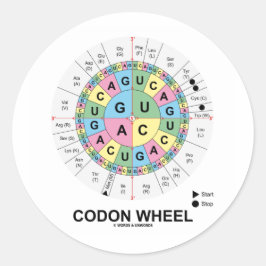 Adesivo Codon Wheel (RNA Codons Aminoácidos)