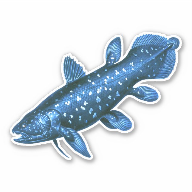 Adesivo Coelacanth (Frente)