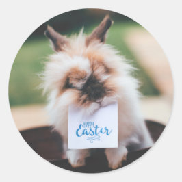ADESIVO COELHO PERSONALIZÁVEL EM STICKER REDONDO DE PÁSCOA