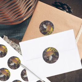 Adesivo Cogumelos boletos com folhas amarelas