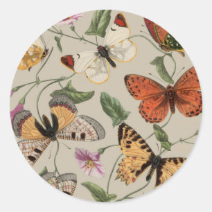 Adesivo Coleção de Desenhos de Mariposa Borboleta Natureza