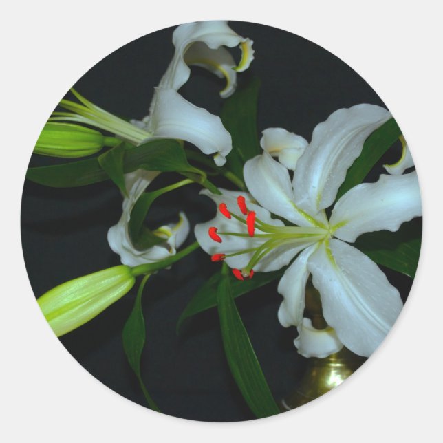 Adesivo Coleção de Design e Flores irlandesas (Frente)