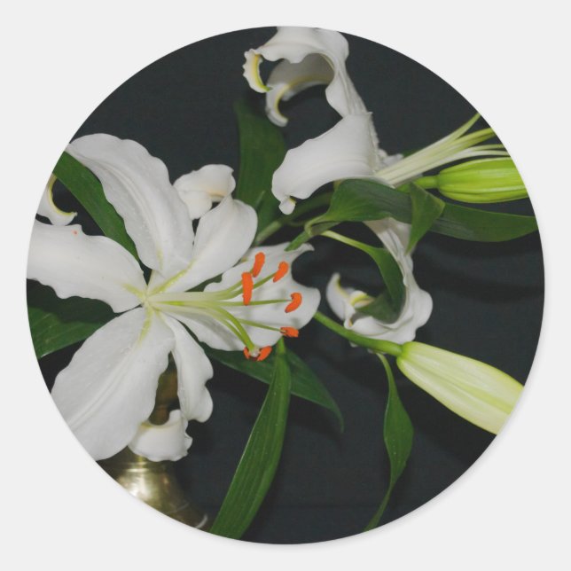 Adesivo Coleção de Design e Flores irlandesas (Frente)