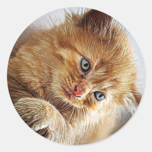 Adesivo Coleção de Gatos Cujos