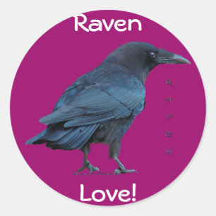 Adesivo Coleção Raven Preta III