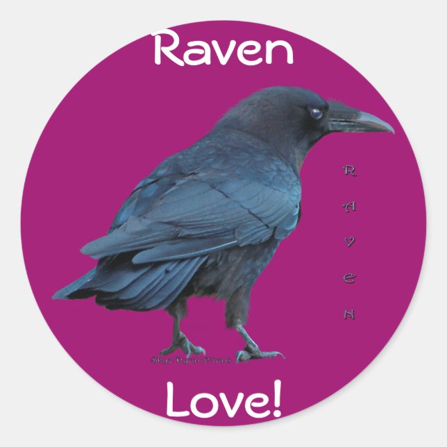 Adesivo Coleção Raven Preta III (Frente)