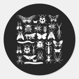 Adesivo Coletor de besouro e Inseto - Insetos de Entomolog