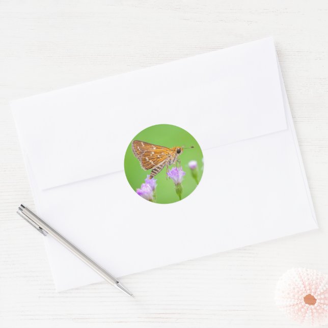 Adesivo Coletor de mel (Envelope)