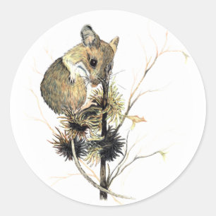 Adesivo Coletor de Mouse Cortante