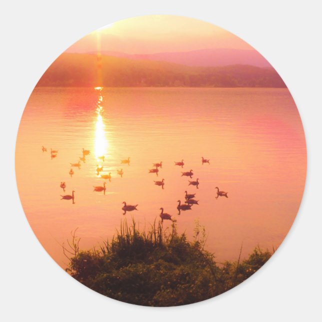 Adesivo Coletor solar rosa e pêssego (Frente)