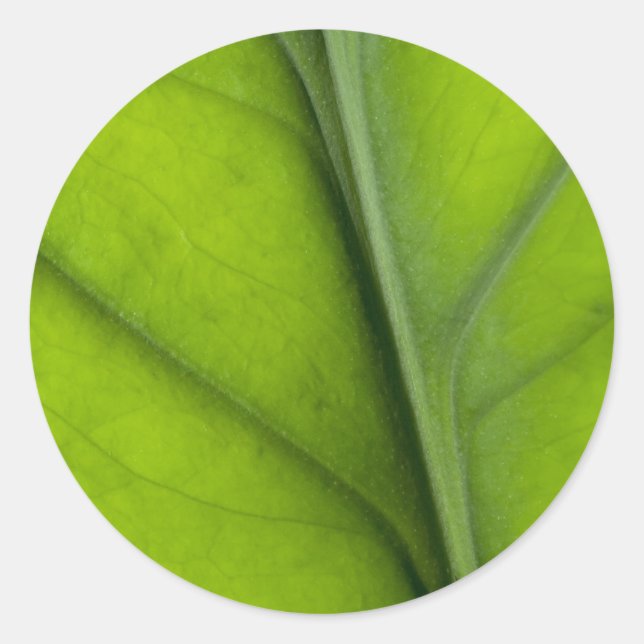 Adesivo Colheita de folhas (Frente)