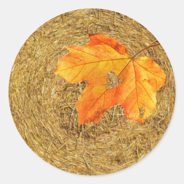 Adesivo Colheita de Pau-redondo Clássico do Amor (Frente)