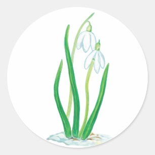 Adesivo Colírio de Primavera inicial