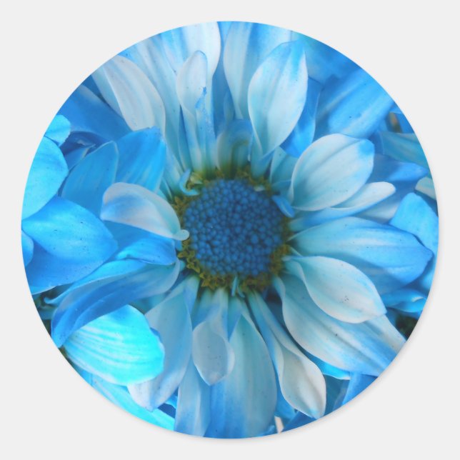 Adesivo Collaert (Frente)