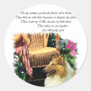 Adesivo Collie Art Gifts Rough Sable