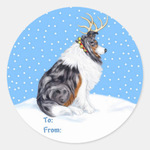 Adesivo Collie Christmas Reindeer Blue Merle Gift Tags