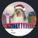 Adesivo Collie Christmas Surpise Gift Tags<br><div class="desc">Prepare-se para uma Surpresa de Férias com este trabalho de arte com um Sable Collie em um Papai Noel saindo de uma caixa de presentes de Natal ENORME. Canes doces,  ornamentos,  e mais presentes fornecem uma cena festiva que agrada a todos.</div>