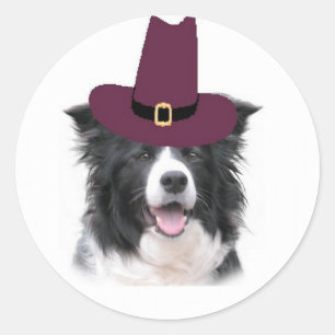 Adesivo Collie Ditzy Sticker~Thanksgiving de Dogs~Border