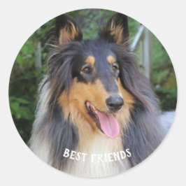 Adesivo Collie dog Best FRIENDS