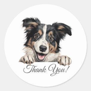 Adesivo Collie Dog Obrigado