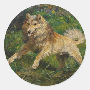 Adesivo Collie toma Sapo de Hermine Biedermann