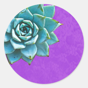 Adesivo Coloração d'água Suculta Roxo