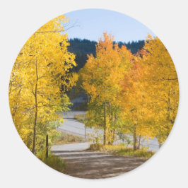 Adesivo Colores do Colorado