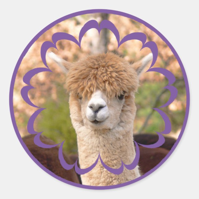 Adesivo Colorida Alpaca Birthday Stickers (Frente)