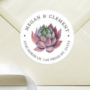 Adesivo Colorida Suculenta Tema do deserto Endereço de