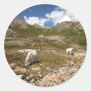 Adesivo Columbine Lake Mountain Goats - Colorado