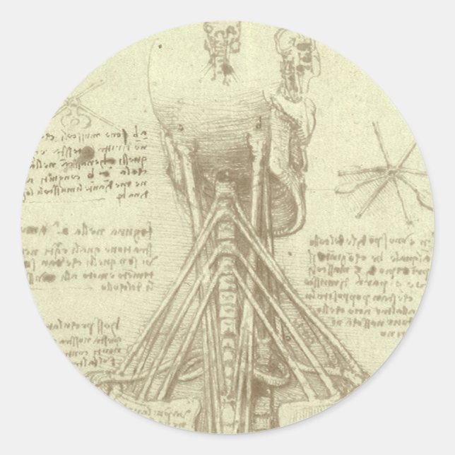 Adesivo Coluna Espinhal da Anatomia Humana de Leonardo da  (Frente)