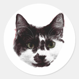 Adesivo com um Olhar Fixo   Adesivo de Gato no Est