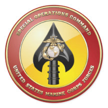 Comando de Operações Especiais USMC (MARSOC) [3D]
