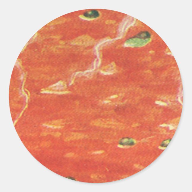 Adesivo Comida Antiga, Tigela Quente de Sopa de Tomate com (Frente)