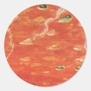 Adesivo Comida de vindima, Tigela Quente de Tomate com Erv