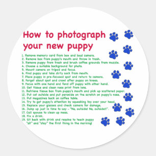 Adesivo Como fotografar seu novo cachorrinho