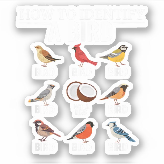 Adesivo Como Identificar um Pássaro Engraçado Observando P (Frente)