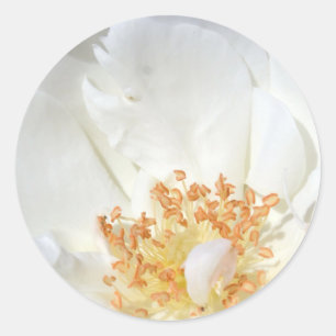 Adesivo Como um punhal redondo 2