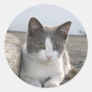 Adesivo "Computador a cores"