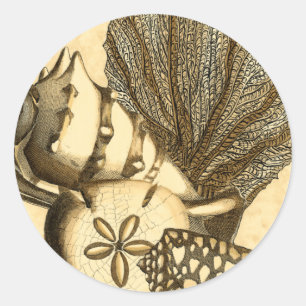 Adesivo Conchas Neutras e Coleção de Corais