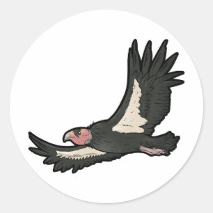 Adesivo Condor de Califórnia