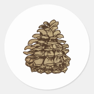 Adesivo Cone Backgrond do pinho de Ponderosa