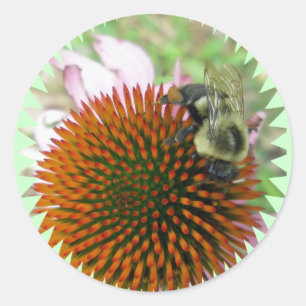 Adesivo Coneflower & Eastern Carpenter Bee Itens de Abelha